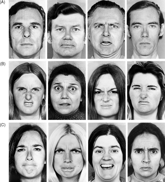 Facial Emotion Recognition Test 55
